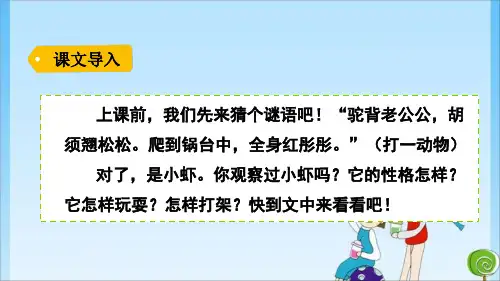 15小虾 人教(共20张PPT)教育课件