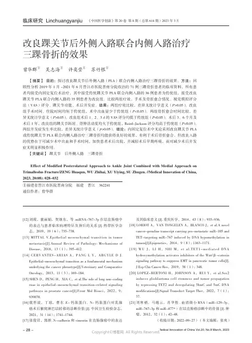 211100951_改良踝关节后外侧入路联合内侧入路治疗三踝骨折的效果