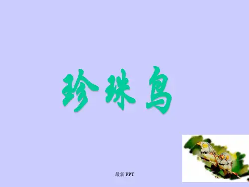 人教部编版五年级上册语文《珍珠鸟》精品课件