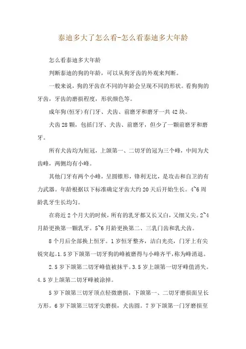 泰迪多大了怎么看-怎么看泰迪多大年龄