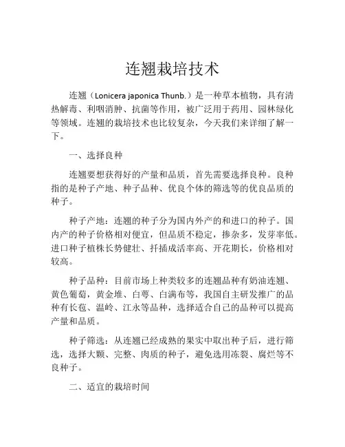 连翘栽培技术