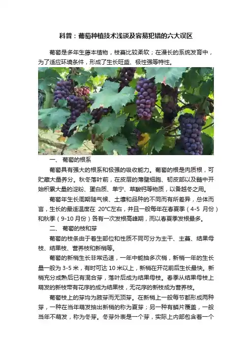 科普：葡萄种植技术浅谈及容易犯错的六大误区