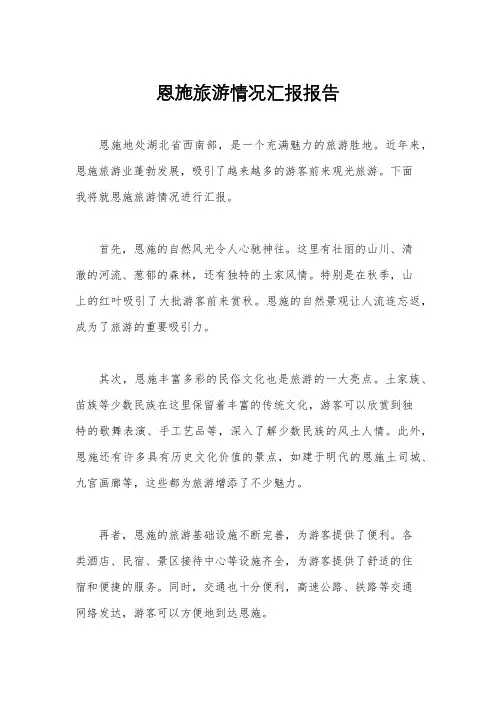 恩施旅游情况汇报报告