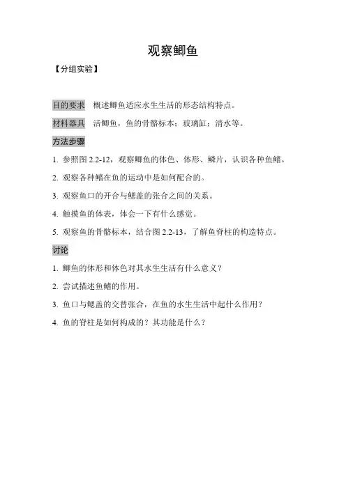 观察鲫鱼