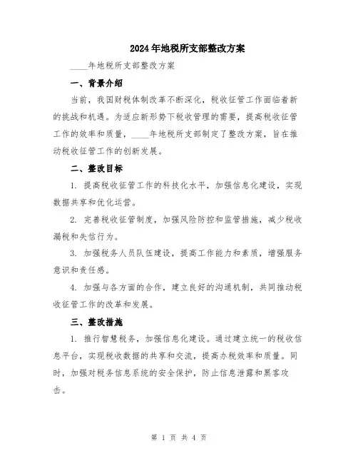 2024年地税所支部整改方案