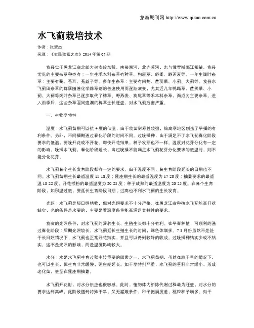 水飞蓟栽培技术