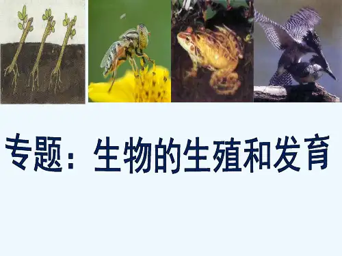 生物人教版八年级下册生物的生殖和发育复习课课件