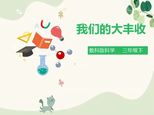 《我们的大丰收》植物的生长变化PPT下载