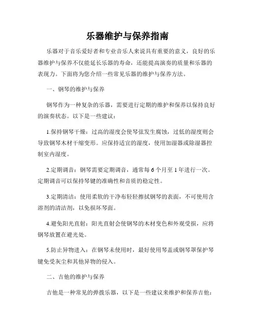 乐器维护与保养指南