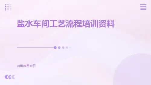 盐水车间工艺流程培训资料