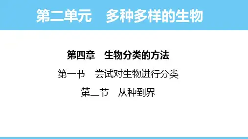 4.1.2从种到界 课件-2024--2025学年人教版生物七年级上册          
