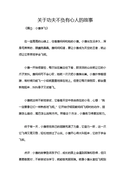 关于功夫不负有心人的故事