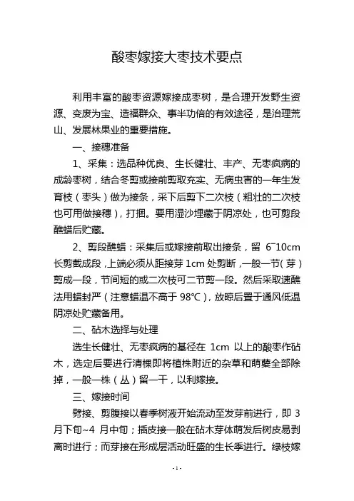 酸枣嫁接大枣技术要点