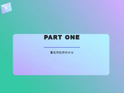重型颅脑损伤
