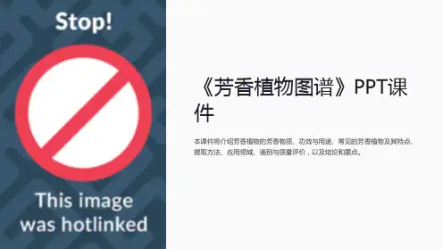 《芳香植物图谱》课件
