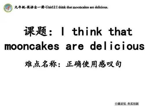 正确使用感叹句 初中九年级英语教学课件PPT 人教版