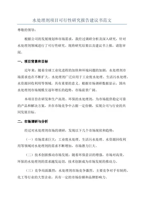 水处理剂项目可行性研究报告建议书范文