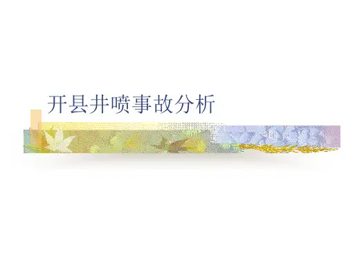 重庆开县井喷事故分析