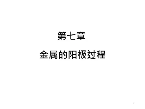 金属的阳极过程(25页)