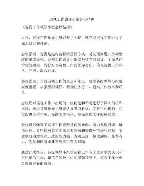 巡视工作领导小组会议精神