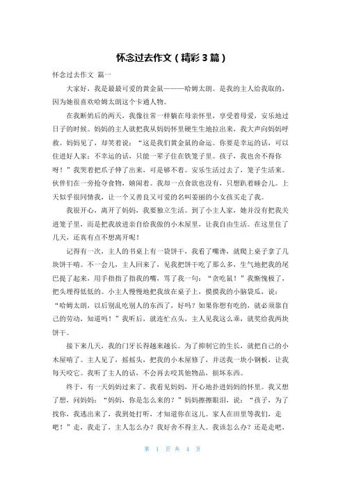 怀念过去作文(精彩3篇)