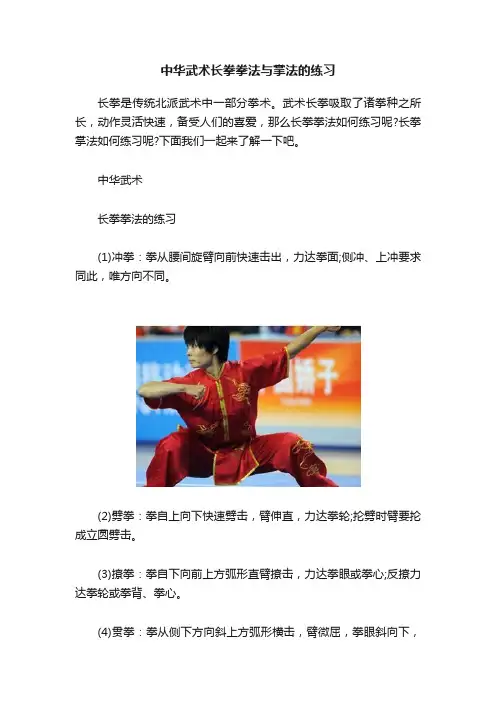 中华武术长拳拳法与掌法的练习