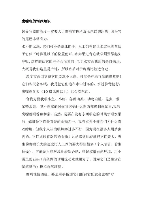 鹰嘴龟的饲养知识