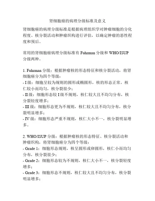 肾细胞癌的病理分级标准及意义