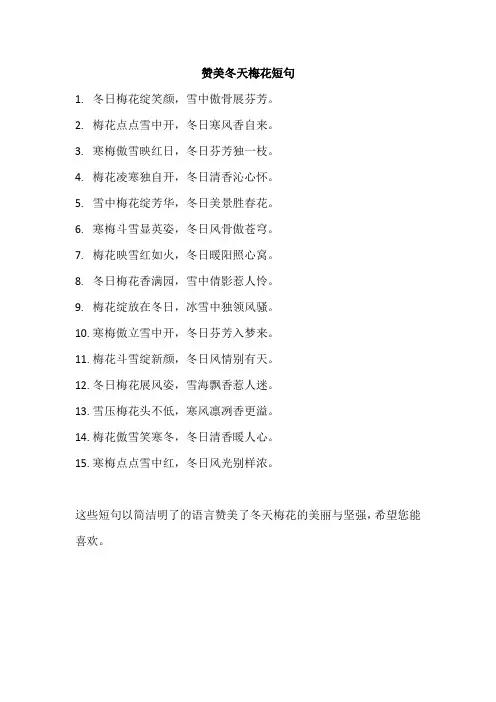 赞美冬天梅花短句