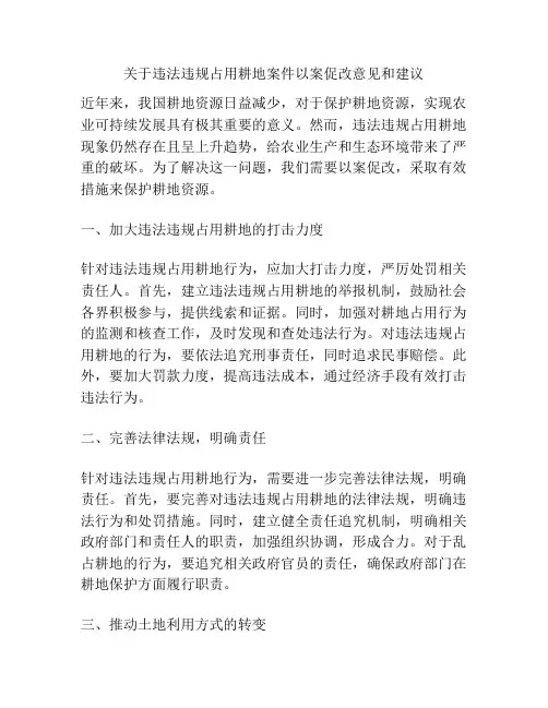 关于违法违规占用耕地案件以案促改意见和建议
