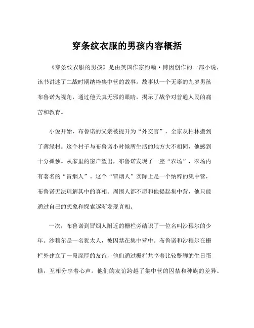 穿条纹衣服的男孩内容概括