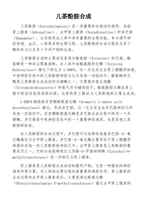 儿茶酚胺合成