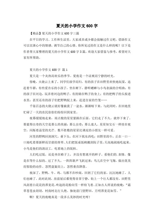 夏天的小学作文600字
