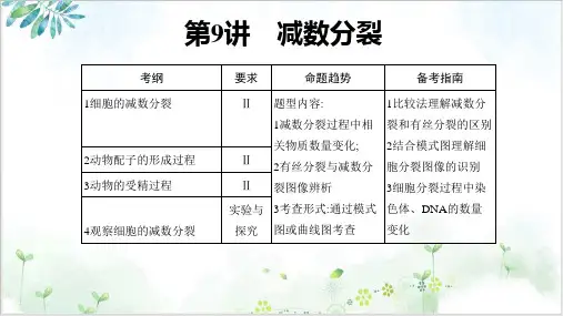 减数分裂_高考一轮复习生物课件PPT