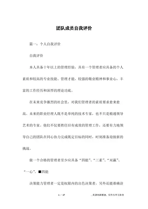 团队成员自我评价