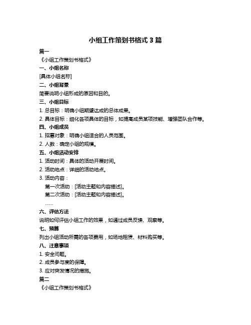 小组工作策划书格式3篇