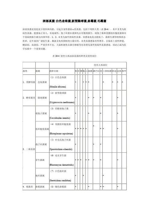 真菌分类
