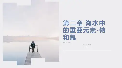 氧化钠和过氧化钠  课件  高一上学期化学人教版