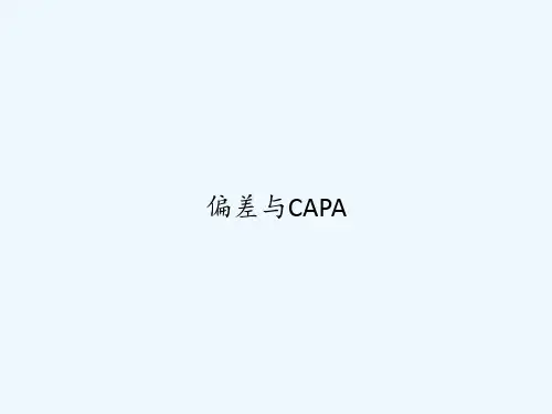 偏差与CAPA PPT