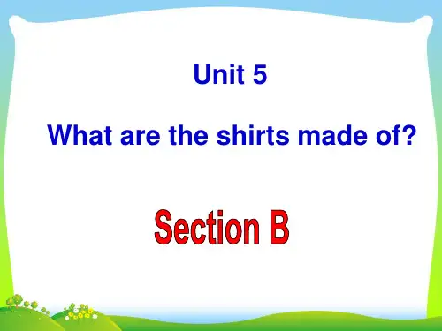 新人教版九年级英语 unit5 Section B-优质课件.ppt