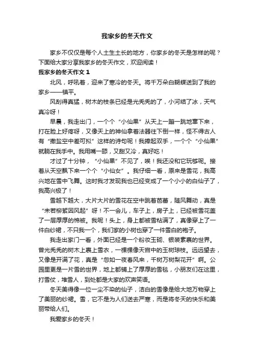 我家乡的冬天作文10篇
