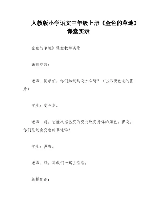 人教版小学语文三年级上册《金色的草地》课堂实录