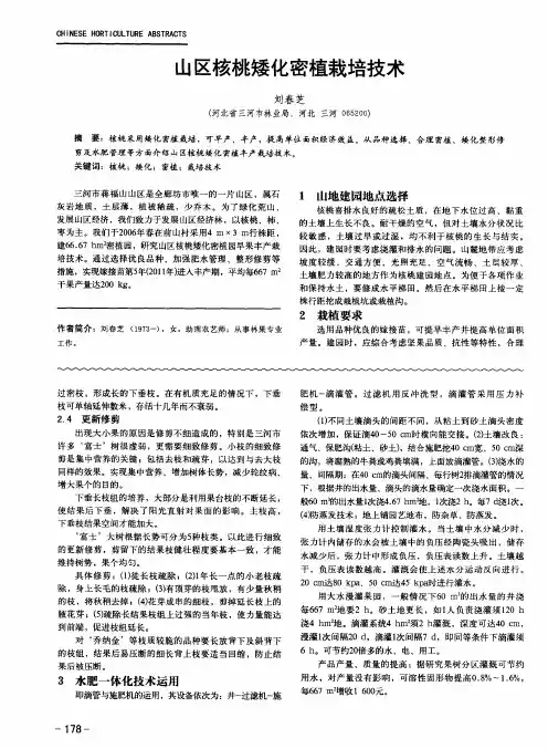 山区核桃矮化密植栽培技术