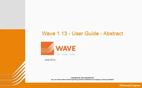 WAVE系统介绍-原版