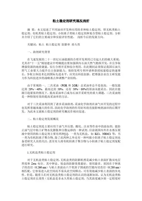 粘土稳定剂研究现况浅析