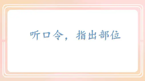 教科版科学二年级下册2.1观察我们的身体 (课件)