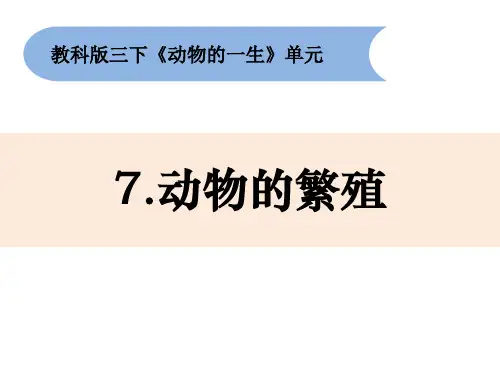 三年级下册科学课件 2-7《动物的繁殖》 教科版(共16张PPT)