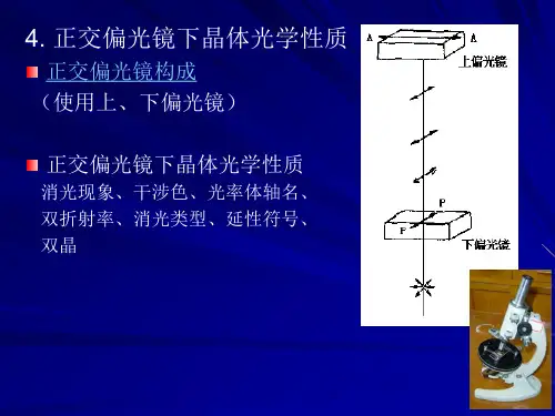 正交偏光镜下晶体光学性质