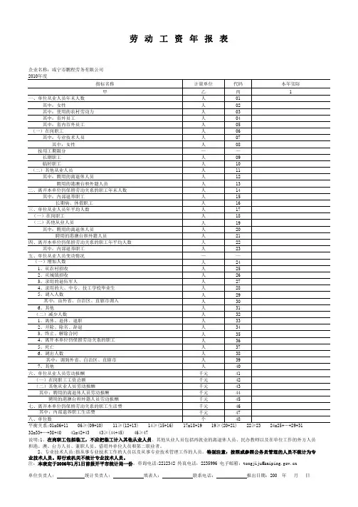 劳动工资年报表