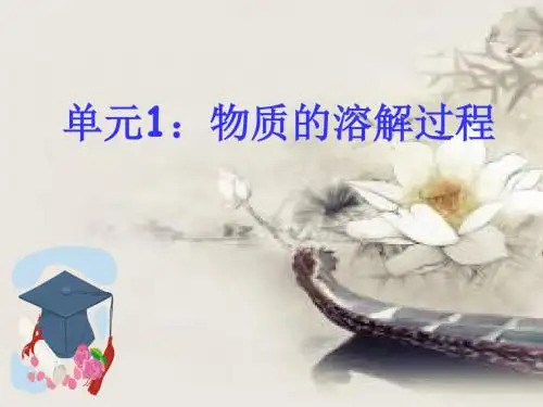 湘教初中化学九上《6单元1 物质的溶解过程》PPT课件
